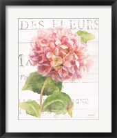 Maison des Fleurs VII Framed Print