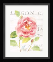 Maison des Fleurs V Framed Print