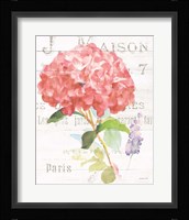 Maison des Fleurs VI Framed Print
