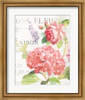 Maison Des Fleurs IV Fine Art Print