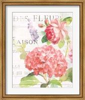 Maison Des Fleurs IV Fine Art Print