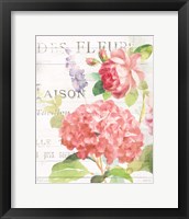 Maison Des Fleurs IV Framed Print