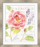 Maison Des Fleurs III Fine Art Print