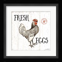 Free Range Fresh IV Framed Print