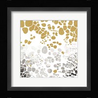 Speckled Trio II Framed Print
