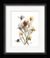 Watercolor Botanical III Framed Print