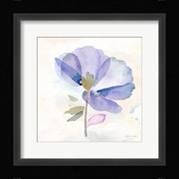 Poppy Single Purple Framed Print