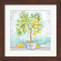 Country Lemon Tree Fine Art Print