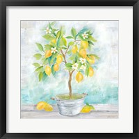 Country Lemon Tree Fine Art Print