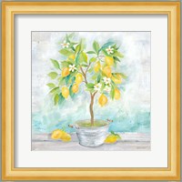 Country Lemon Tree Fine Art Print