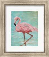 Pink Flamingo II Fine Art Print