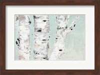 Birch Tree Close Up Fine Art Print