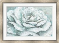 White Rose Splendor Fine Art Print