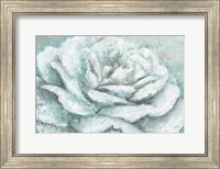 White Rose Splendor Fine Art Print