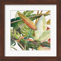 Tropical Lush Garden Square II Fine Art Print