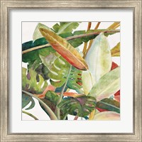 Tropical Lush Garden Square II Fine Art Print