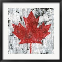 Canada Maple Leaf I Fine Art Print