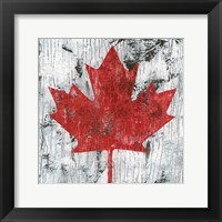 Canada Maple Leaf I Framed Print