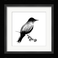 Water's Edge I Fine Art Print