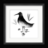 Water's Edge II Fine Art Print