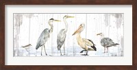 Birds of the Coast Rustic Panel Fine Art Print
