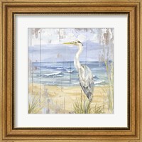 Birds of the Coast Rustic II Fine Art Print