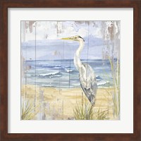 Birds of the Coast Rustic II Fine Art Print