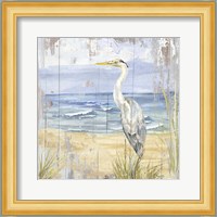 Birds of the Coast Rustic II Fine Art Print