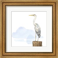 Birds of the Coast on White II Fine Art Print