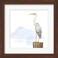 Birds of the Coast on White II Fine Art Print