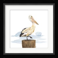 Birds of the Coast on White III Framed Print