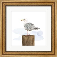 Birds of the Coast on White IV Fine Art Print