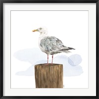 Birds of the Coast on White IV Fine Art Print