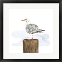Birds of the Coast on White IV Framed Print
