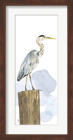 Birds of the Coast Panel I Fine Art Print