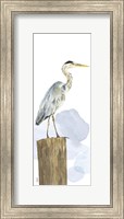 Birds of the Coast Panel I Fine Art Print