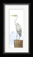 Birds of the Coast Panel II Framed Print