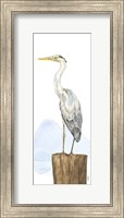 Birds of the Coast Panel II Fine Art Print