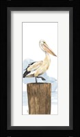 Birds of the Coast Panel III Framed Print