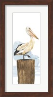 Birds of the Coast Panel III Fine Art Print