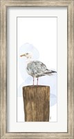 Birds of the Coast Panel IV Fine Art Print