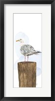 Birds of the Coast Panel IV Fine Art Print