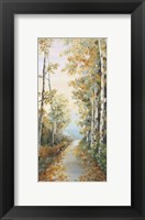 Path in the Forest Fine Art Print