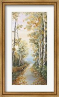 Path in the Forest Fine Art Print