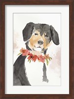 Puppy I Fine Art Print