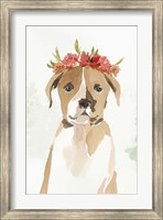 Puppy II Fine Art Print