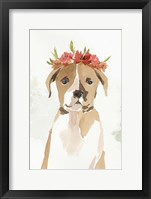 Puppy II Framed Print
