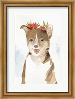 Puppy III Fine Art Print