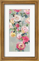 Cascade of Roses III Fine Art Print