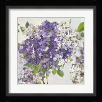 Summer Hydrangea II Fine Art Print